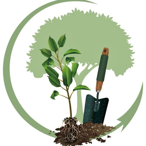 Акция «Посади свое дерево»